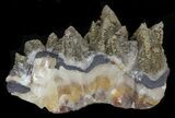 Pyrite Covered Dogtooth Calcite - Inner Mongolia #32685-1